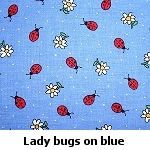 lady bugs on blue