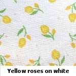 yellow roses on white background