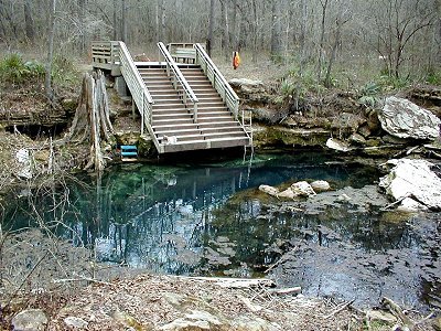 Peacock 1 basin