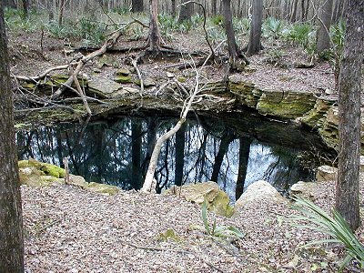 Water Hole surface